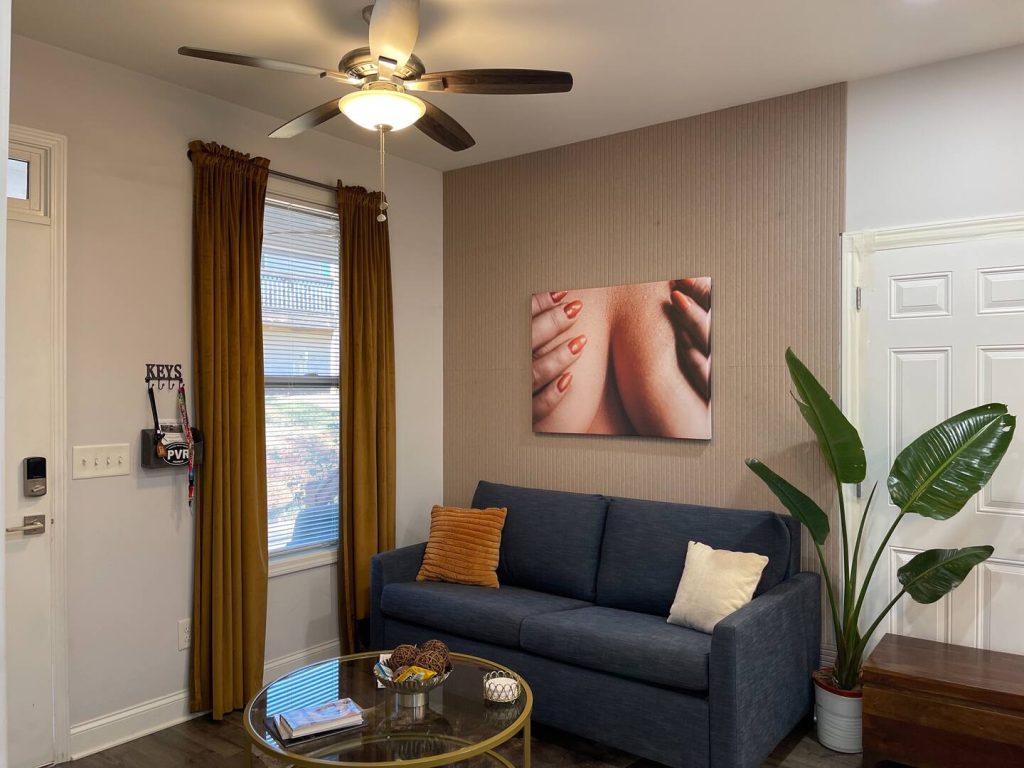 Living room and a coach. The Iris Flat A.